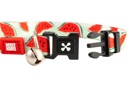 Max&Molly GOTCHA! Smart ID Cat Collar – Colorful Adjustable Collar with Smart Tag Feature