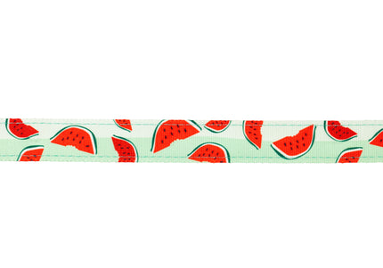 Max&Molly GOTCHA! Smart ID Cat Collar – Colorful Adjustable Collar with Smart Tag Feature