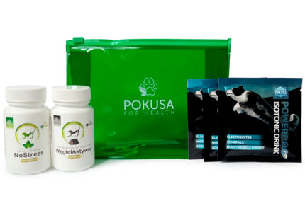 Pokusa First Aid Kit Carbon – Comprehensive Travel Set with Activated Carbon, Essential Emergency Supplies