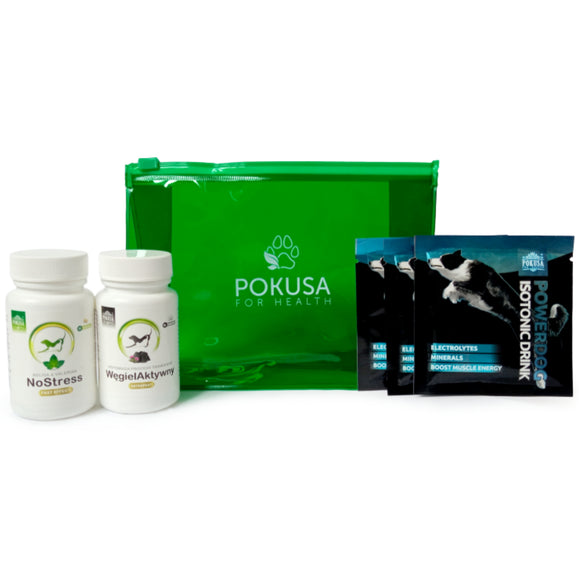 Pokusa First Aid Kit Carbon – Comprehensive Travel Set with Activated Carbon, Essential Emergency Supplies