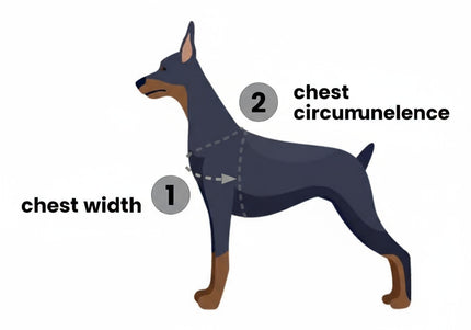 PetSafe Easy Walk Harness and Leash Set – Raspberry Pink, Large, Comfortable No-Pull Design