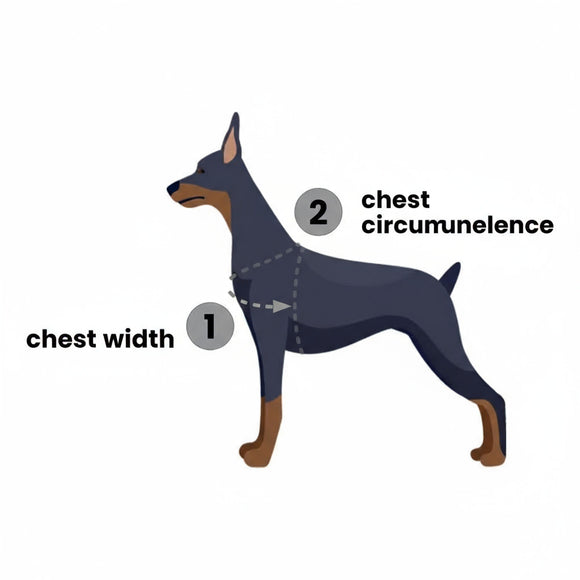 PetSafe Easy Walk Harness and Leash Set – Raspberry Pink, Large, Comfortable No-Pull Design