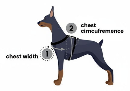 PetSafe Easy Walk Harness and Leash Set – Red, XL, Adjustable, Comfortable Design