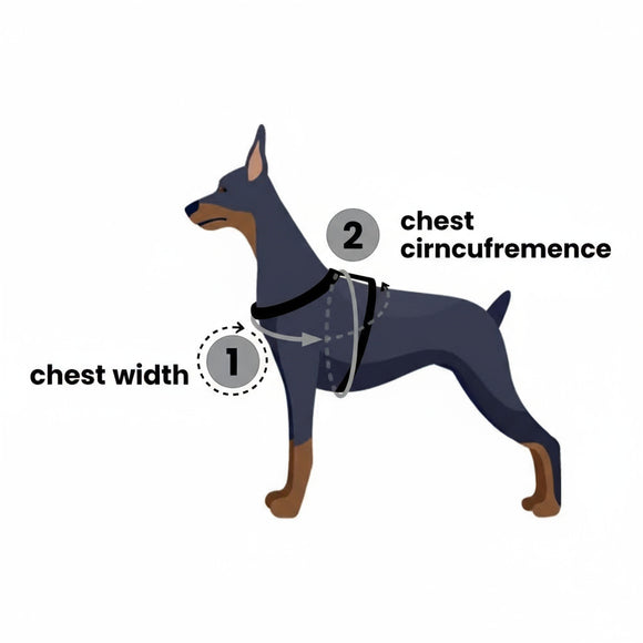 PetSafe Easy Walk Harness and Leash Set – Red, XL, Adjustable, Comfortable Design