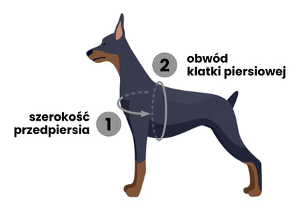 PetSafe Easy Walk Harness and Leash Set – Adjustable Black, Small, Comfortable Fit