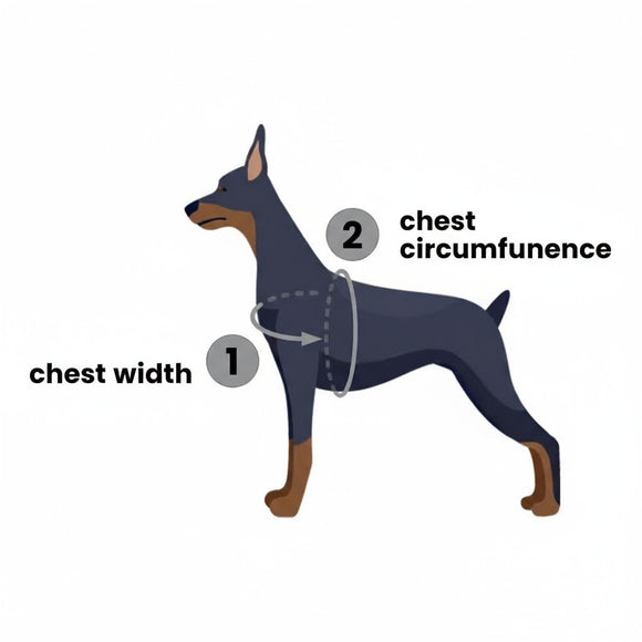 PetSafe Easy Walk Harness and Leash Set – Adjustable Black, Small, Comfortable Fit