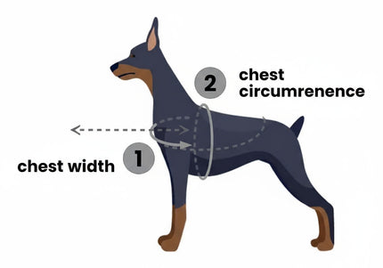 PetSafe Easy Walk Harness and Leash Set – Adjustable Black, Small, Comfortable Fit