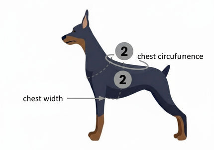 PetSafe Easy Walk Harness and Leash Set – Adjustable Black, Small, Comfortable Fit