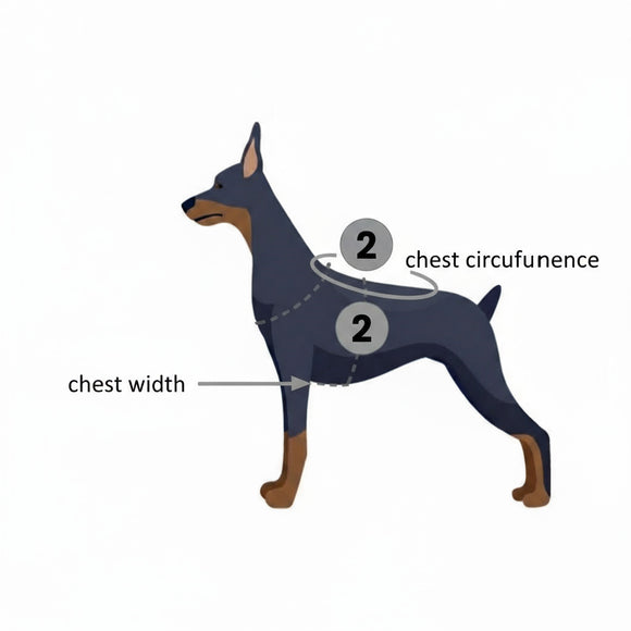 PetSafe Easy Walk Harness and Leash Set – Adjustable Black, Small, Comfortable Fit