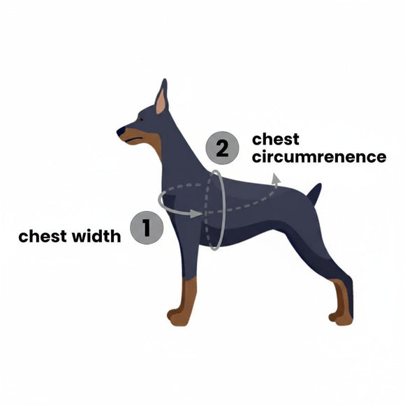 PetSafe Easy Walk Harness and Leash Set – Adjustable Black, Small, Comfortable Fit