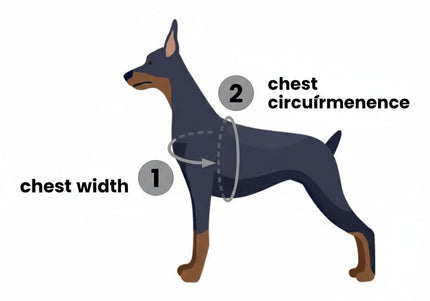 PetSafe Easy Walk Harness and Leash Set – Red, XL, Adjustable, Comfortable Design