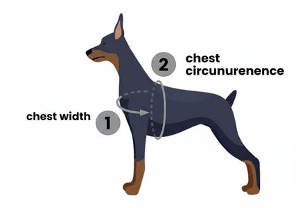 PetSafe Easy Walk Harness and Leash Set – Red, XL, Adjustable, Comfortable Design