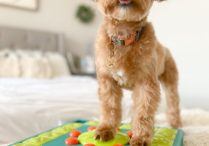 Nina Ottosson MultiPuzzle Level 4 – Interactive Educational Puzzle Game, Advanced Challenge