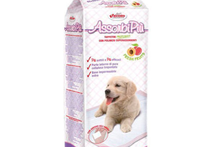 Record AssorbiPiu Fresh Fruits Puppy Pads 60x60cm – Fruit Scented Training Pads with Fixing Plasters, 40 Pack
