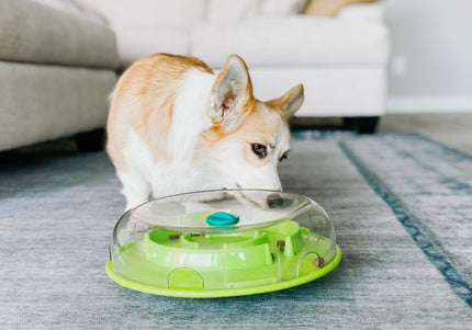 Nina Ottosson Wobble Bowl – Interactive Slow Feeder and Educational Puzzle, Level 1