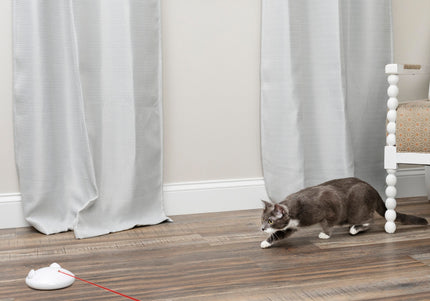 PetSafe Zip Automatic Laser Light – Interactive Moving Laser Toy, Battery Operated