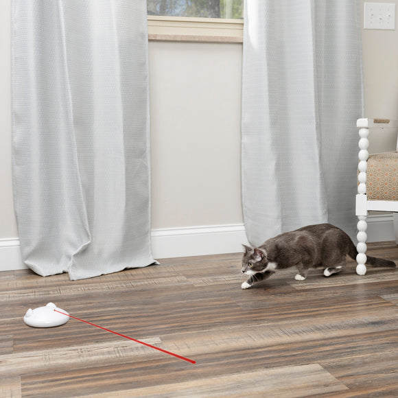 PetSafe Zip Automatic Laser Light – Interactive Moving Laser Toy, Battery Operated