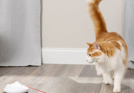 PetSafe Zip Automatic Laser Light – Interactive Moving Laser Toy, Battery Operated