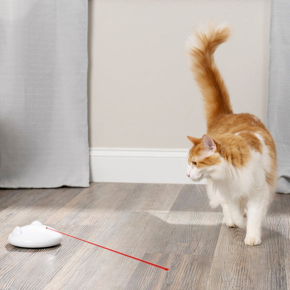 PetSafe Zip Automatic Laser Light – Interactive Moving Laser Toy, Battery Operated