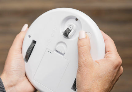 PetSafe Zip Automatic Laser Light – Interactive Moving Laser Toy, Battery Operated