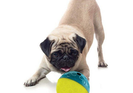 Nina Ottosson Treat Tumble Logic Toy – Interactive 11cm Treat Ball, Beginner Level 1